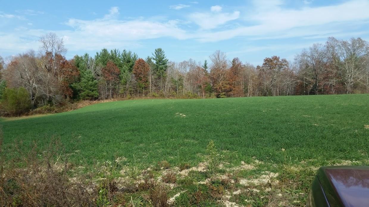2066 Rome Road Lancing, TN 37770 - Photo 7 of 14 Gallery Image 7