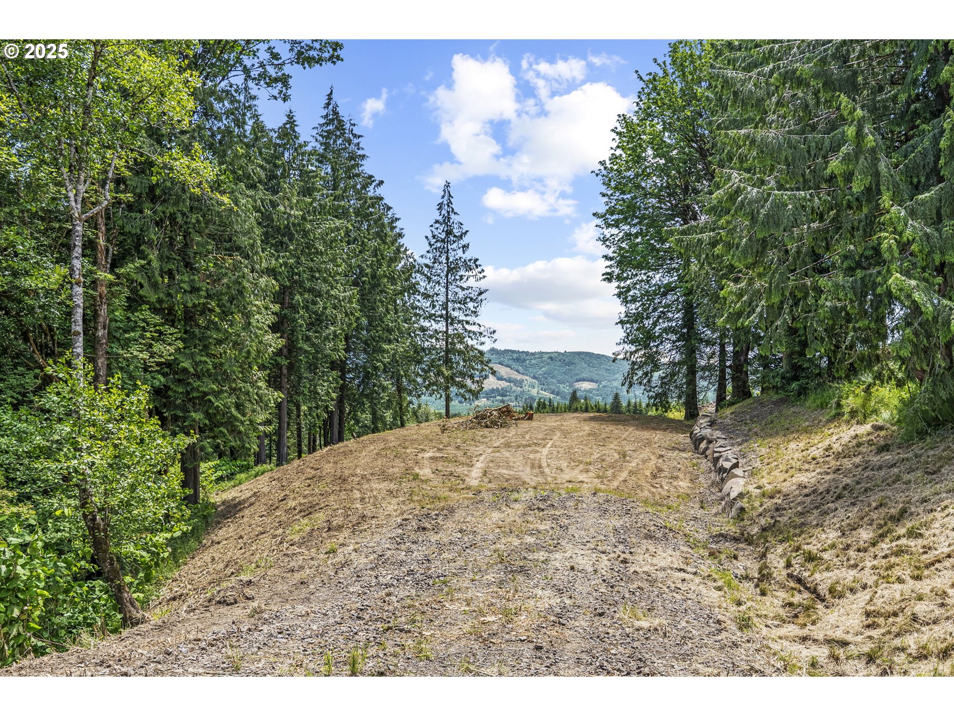 1899 Mt Pleasant Road Kelso, WA 98626 - Photo 4 of 18 Gallery Image 4