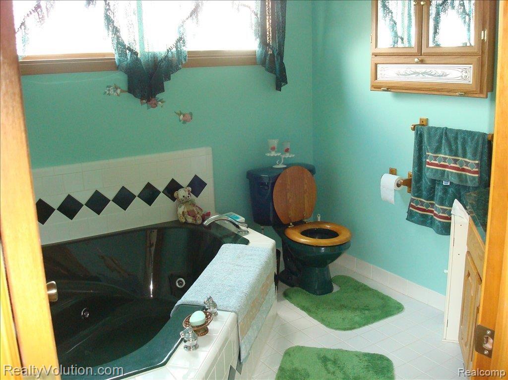 6809 Lothrop Road Imlay City, MI 48444 - Photo 11 of 12 Master bath