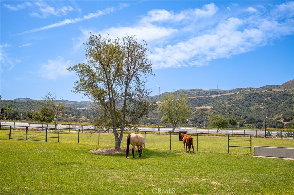 3593 Ivy Way Rancho Mission Viejo, CA 92694 - Photo 57 of 63