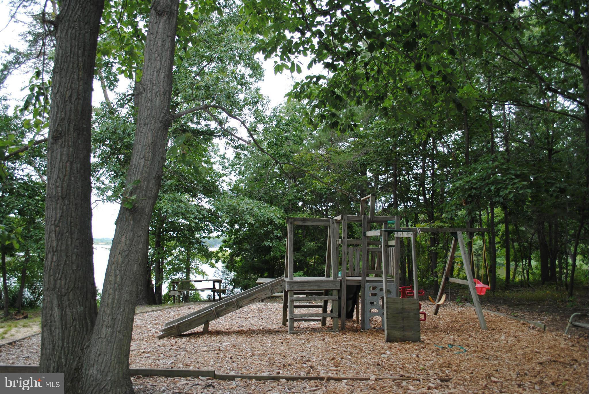 110 Dutchess Road Chestertown, MD 21620 - Photo 14 of 14 Community