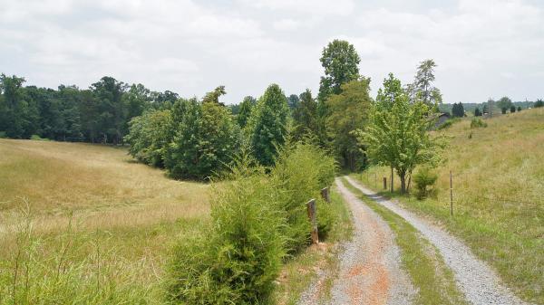 360 Kay Fork Road Union Hall, VA 24176 - Photo 5 of 6 a view of a lake with beach and large trees