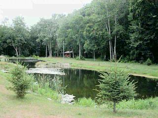 1 Middle Crossing Road Dowagiac, MI 49047 - Photo 1 of 1 Primary Photo