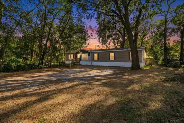 a view of a yard with plants and trees