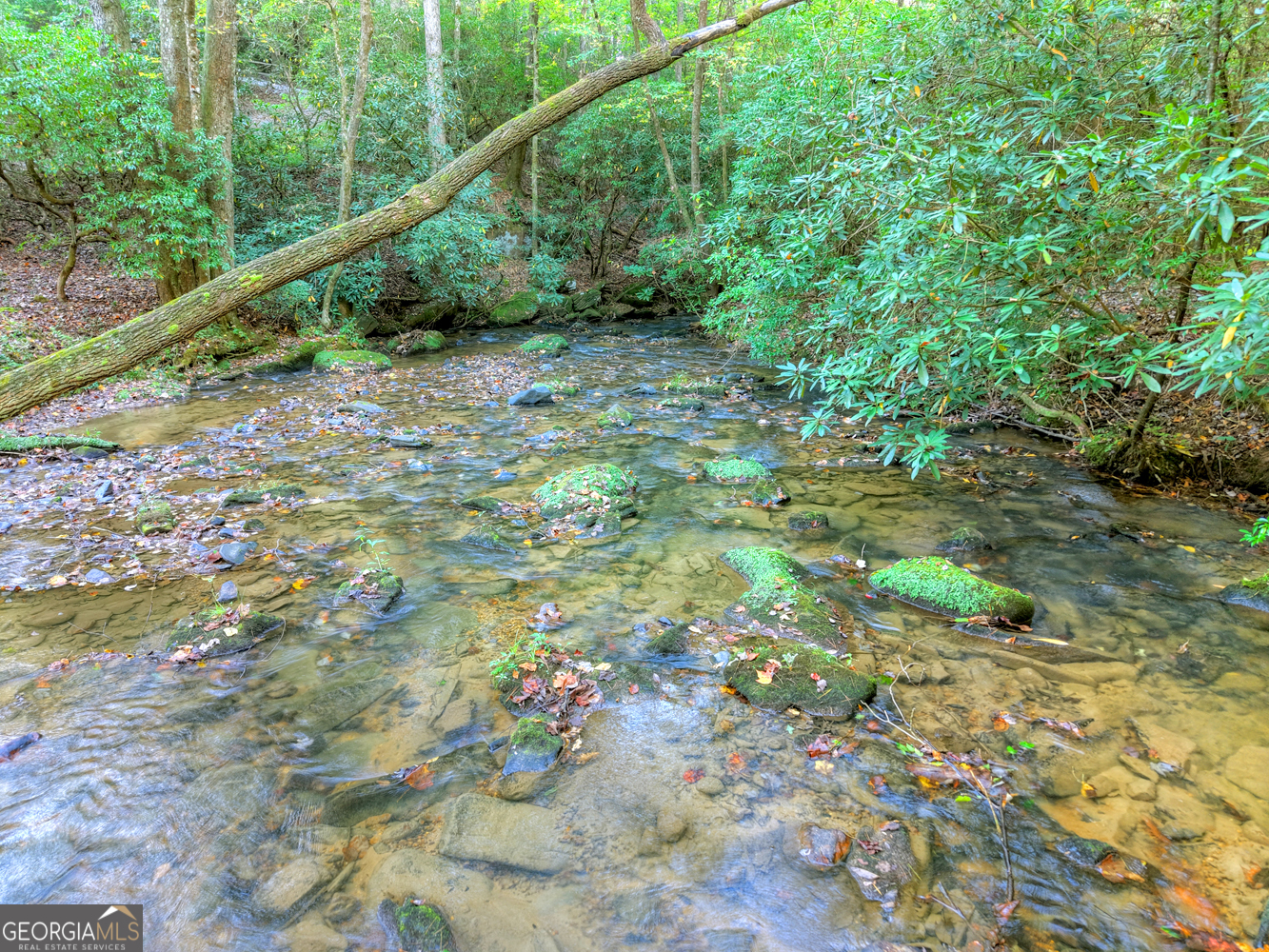 12.64-ac Harrison Sluder Road Ellijay, GA 30540 - Photo 11 of 33 a view of a forest with a tree