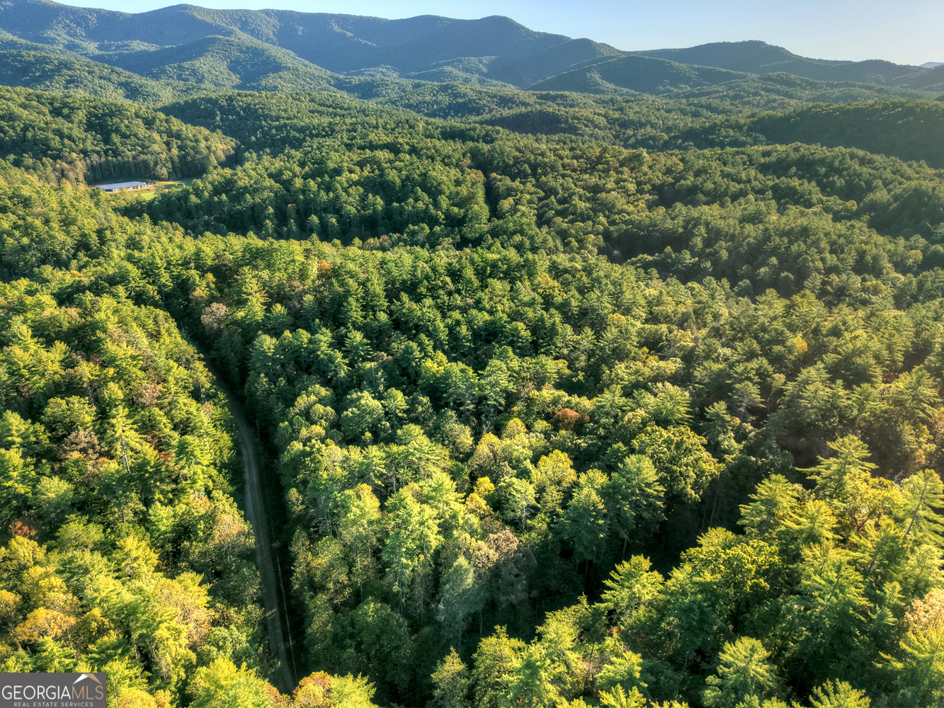 12.64-ac Harrison Sluder Road Ellijay, GA 30540 - Photo 12 of 33 a view of a lush green forest with mountain
