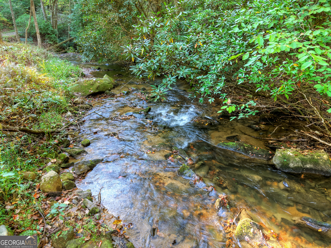 12.64-ac Harrison Sluder Road Ellijay, GA 30540 - Photo 21 of 33 a view of a forest with lots of trees
