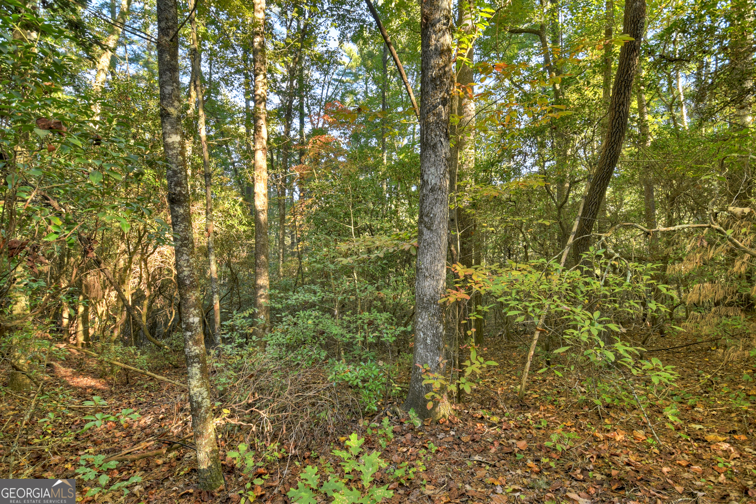 12.64-ac Harrison Sluder Road Ellijay, GA 30540 - Photo 22 of 33 a close view of a shower