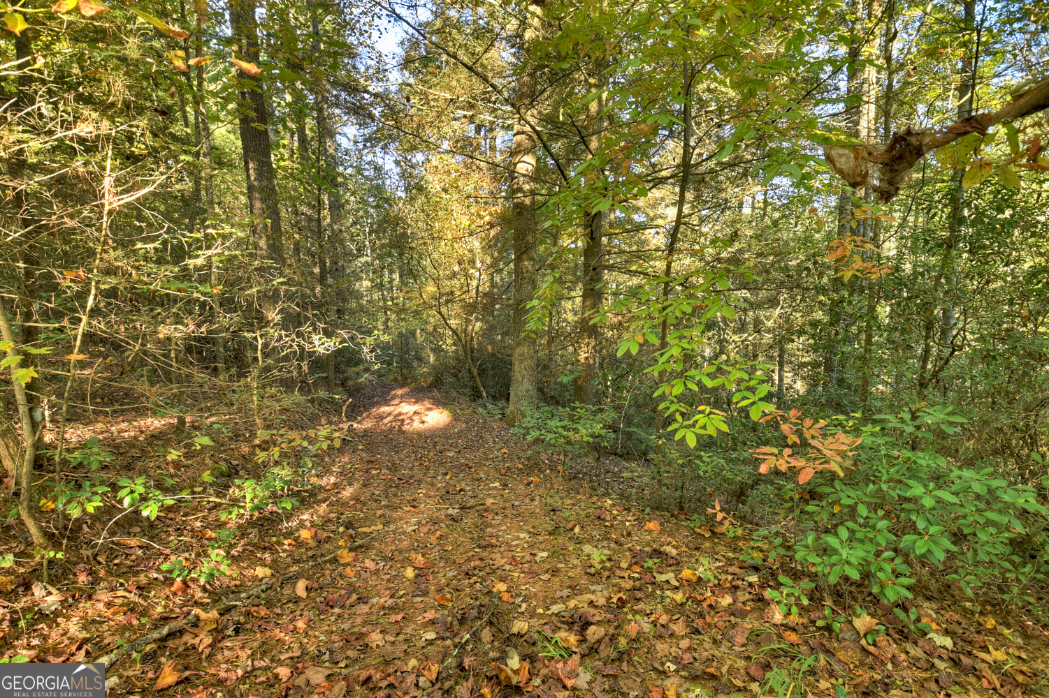 12.64-ac Harrison Sluder Road Ellijay, GA 30540 - Photo 23 of 33 a view of a yard with plants and trees
