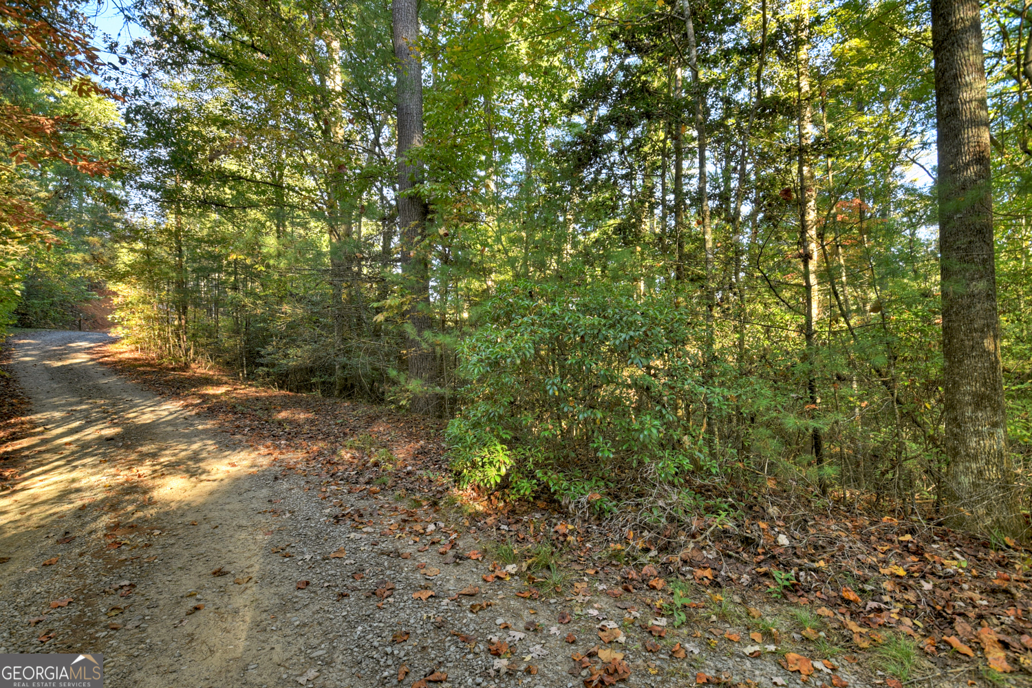 12.64-ac Harrison Sluder Road Ellijay, GA 30540 - Photo 24 of 33 a view of a yard with a tree
