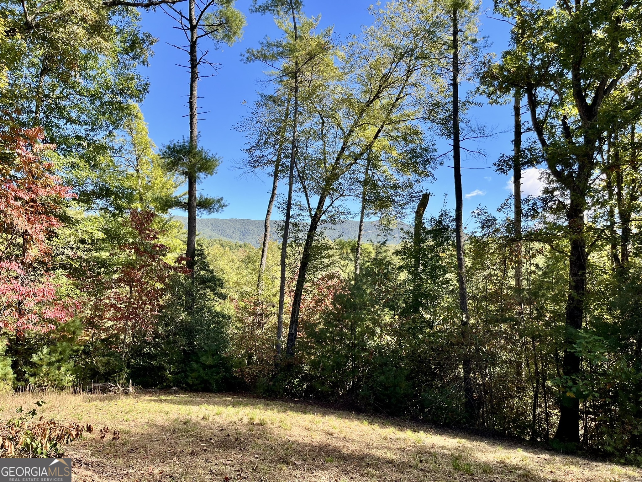 12.64-ac Harrison Sluder Road Ellijay, GA 30540 - Photo 31 of 33 a view of a yard