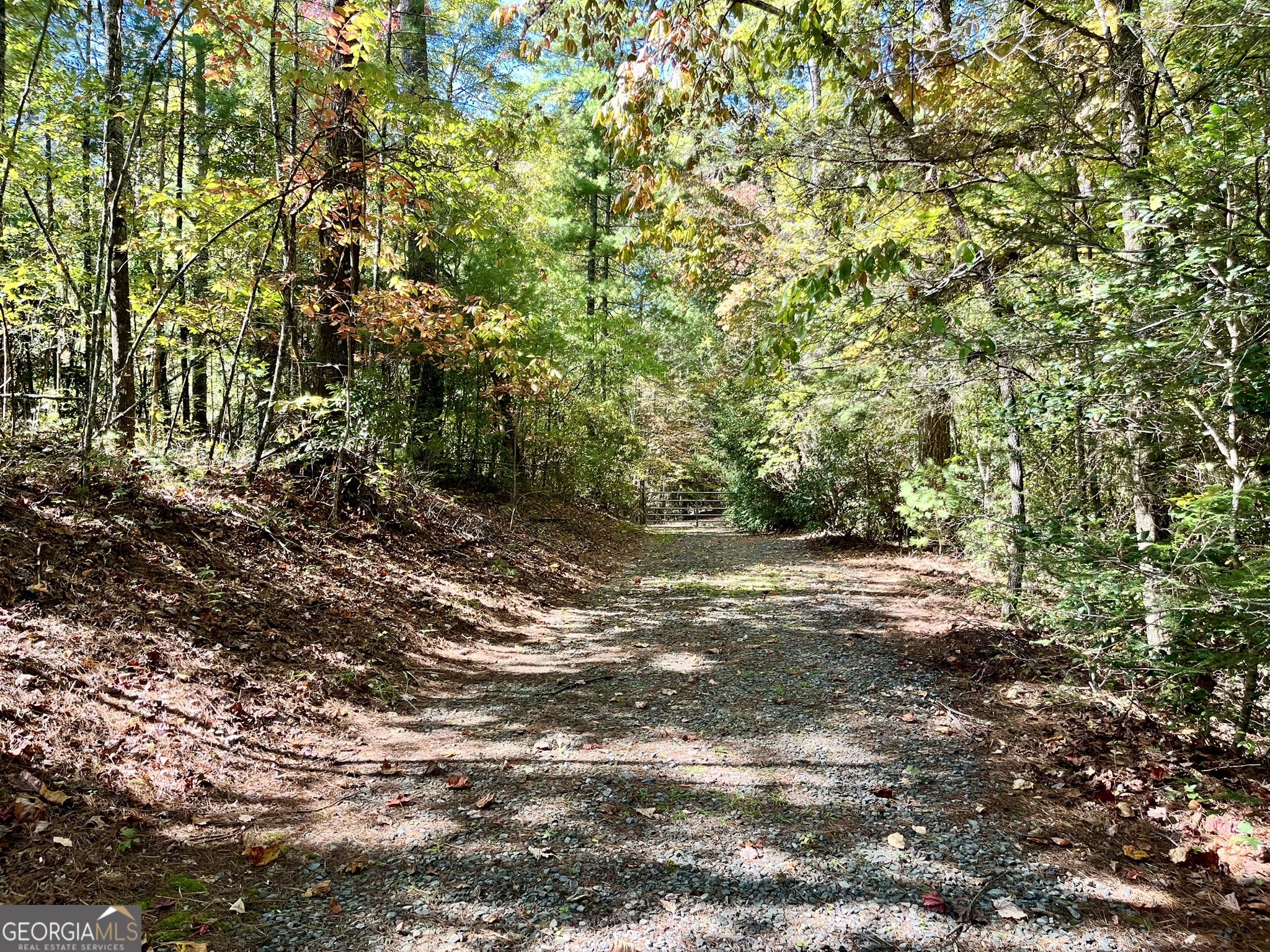 12.64-ac Harrison Sluder Road Ellijay, GA 30540 - Photo 6 of 33 a view of a yard with a tree