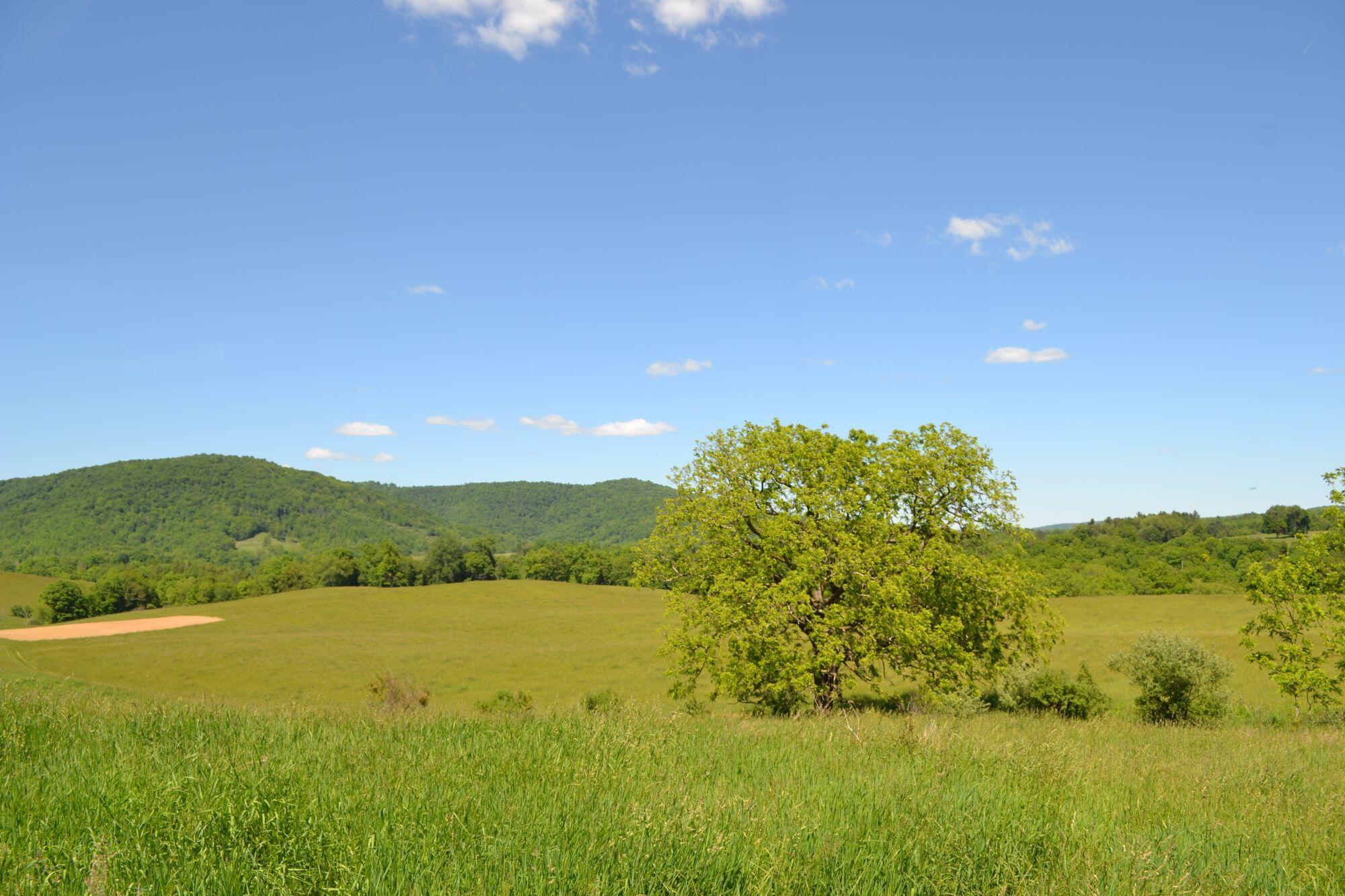 275 Old US 219 Road Buckeye, WV 24924 - Photo 49 of 72 Gallery Image 49