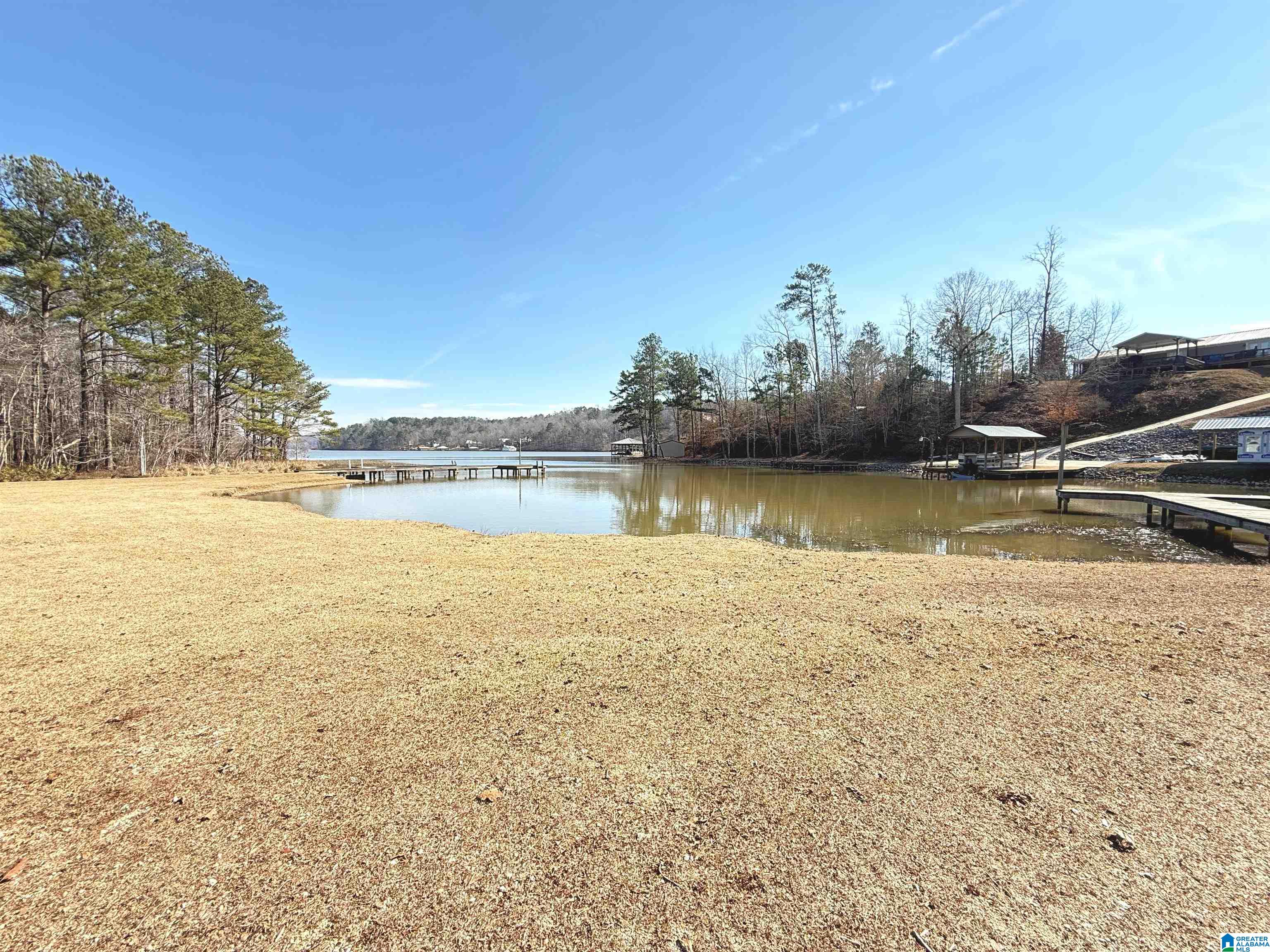 41 Reed Road Ashville, AL 35953 - Photo 56 of 58