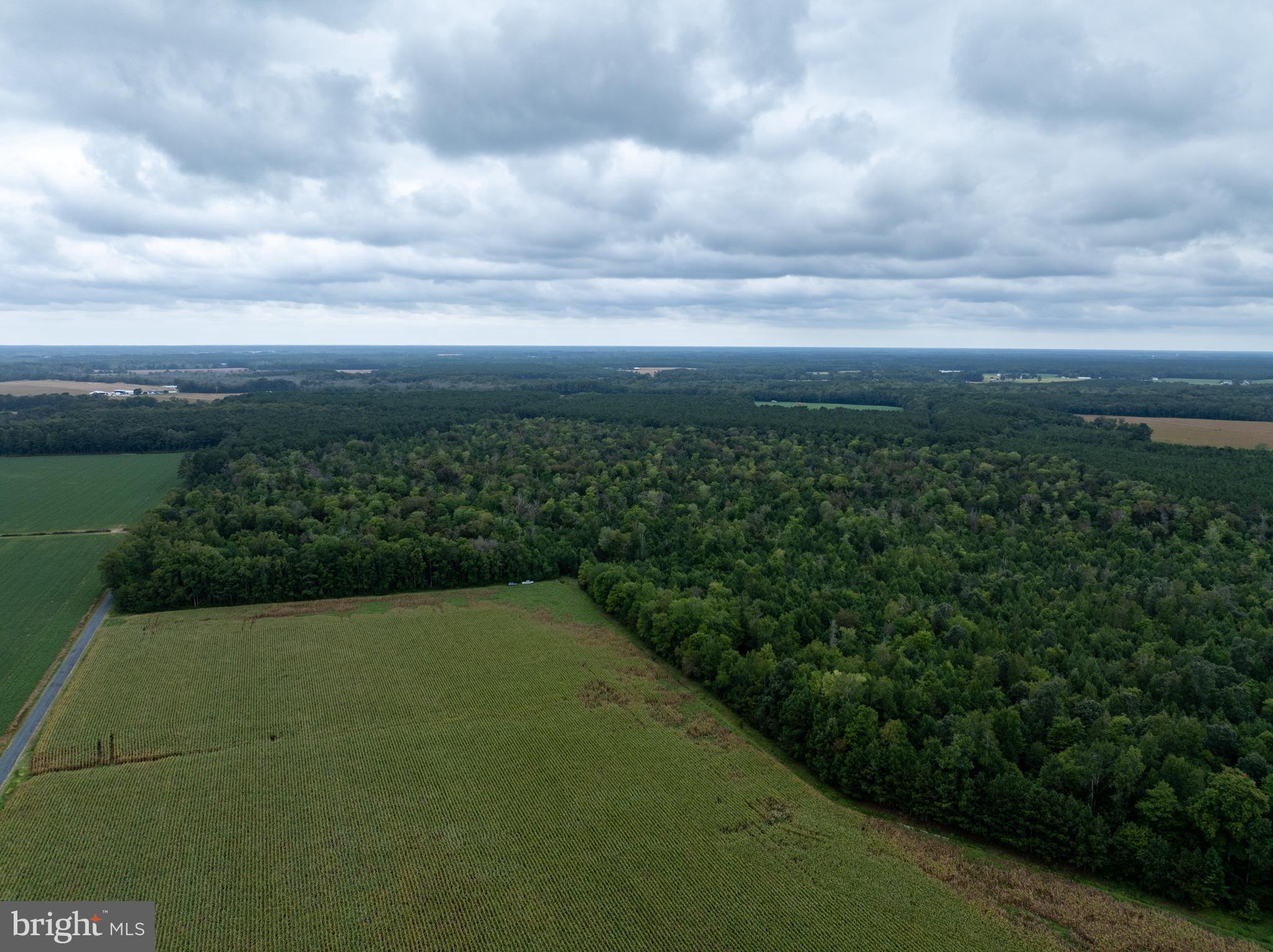 Slocom Farm Road New Church, VA 23415 - Photo 7 of 28 Gallery Image 7