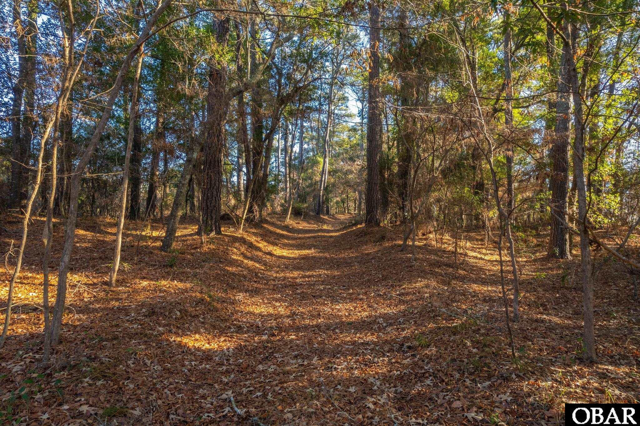 0 West Kitty Hawk Road Kitty Hawk, NC 27949 - Photo 3 of 30 Walk or Drive Through