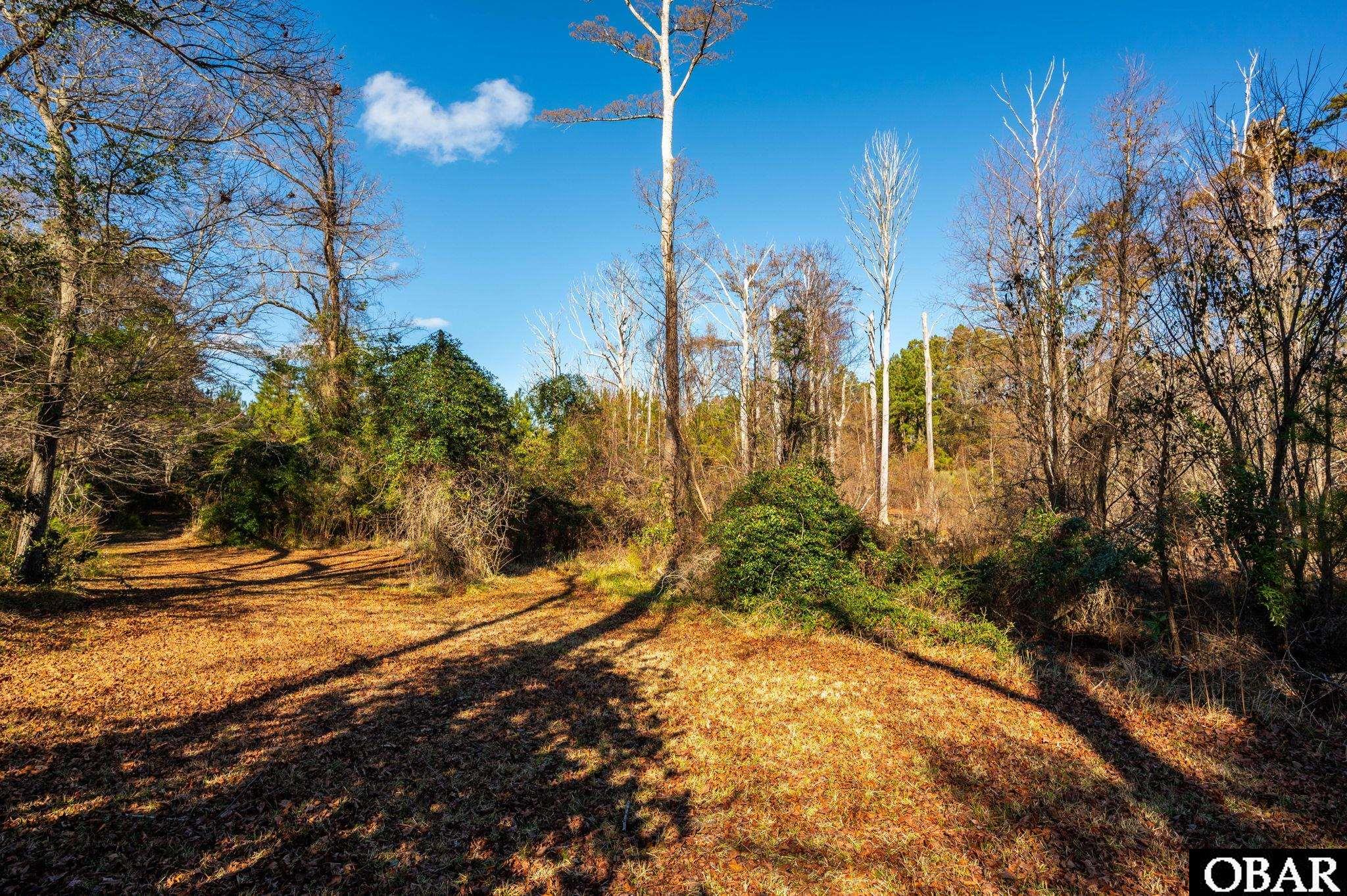 0 West Kitty Hawk Road Kitty Hawk, NC 27949 - Photo 8 of 30 Private and Peaceful