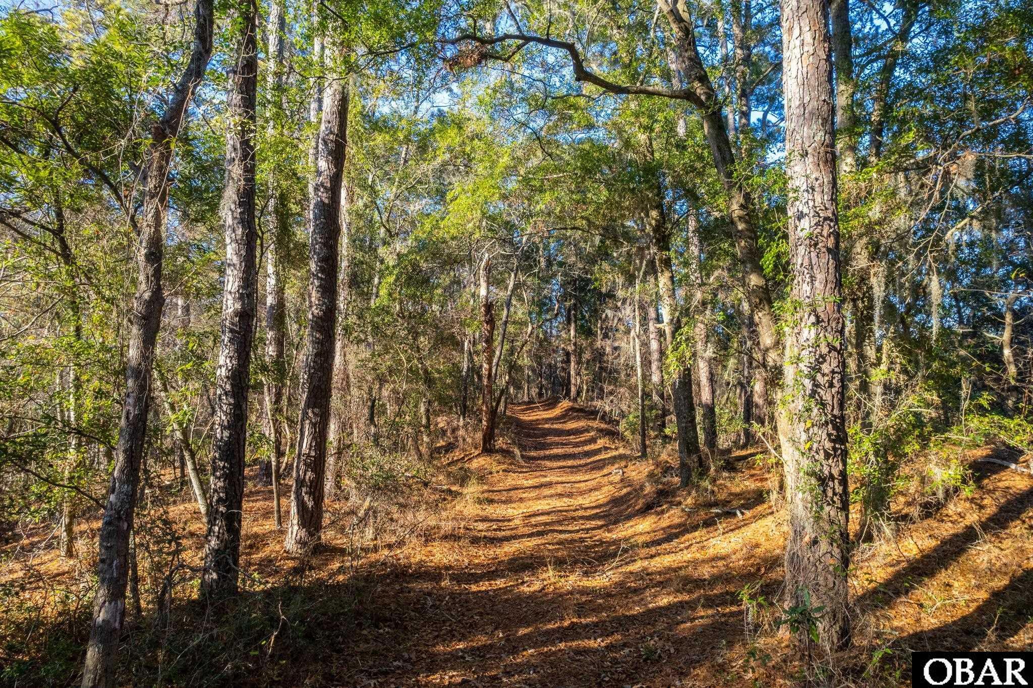 0 West Kitty Hawk Road Kitty Hawk, NC 27949 - Photo 9 of 30 Options Unlimited
