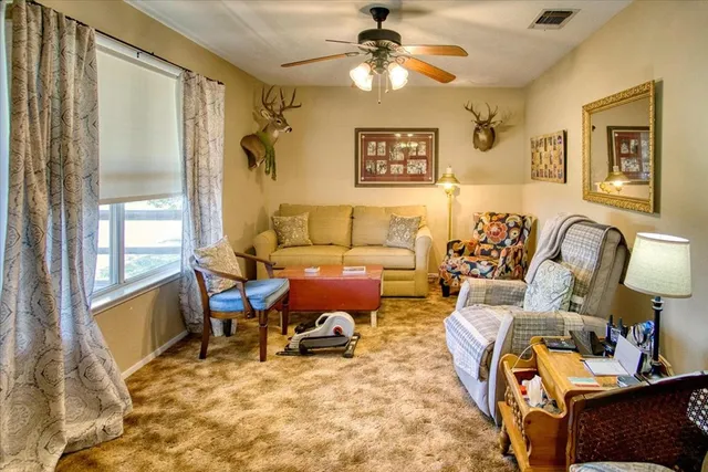 a view of a lake with a mountain in the background