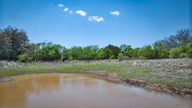 a view of a outdoor space with a tub and trees in the background