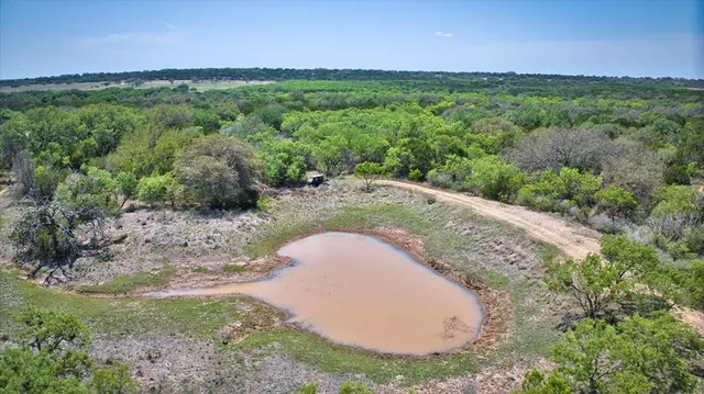 an aerial view of a house with a yard and large trees