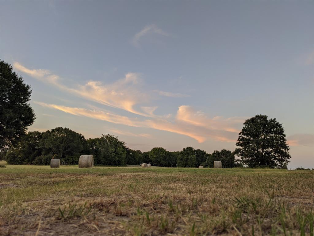 8698 B Richardson Road Athens, TX 75752 - Photo 1 of 1 Nature at dusk with a rural view