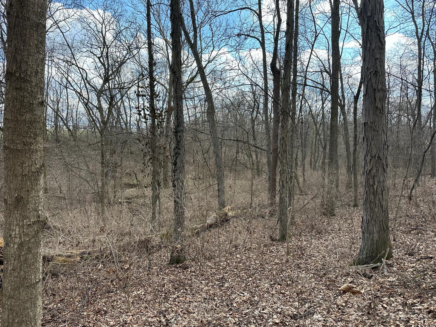 0 Wilson Road Winchester, OH 45697 - Photo 44 of 69