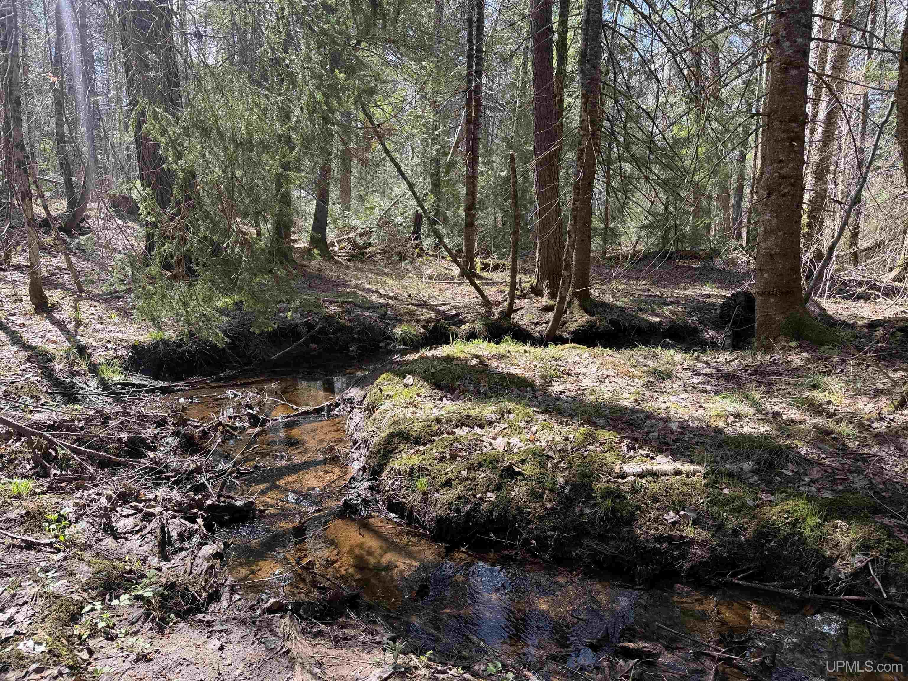 Off Black River Road Ironwood, MI 49938 - Photo 2 of 31
