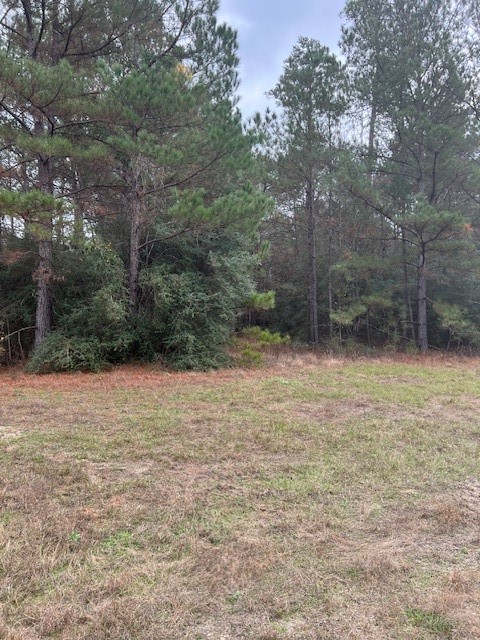 1-6-40 Sundog Road Huntsville, TX 77340 - Photo 2 of 8 a backyard of a house with lots of green space