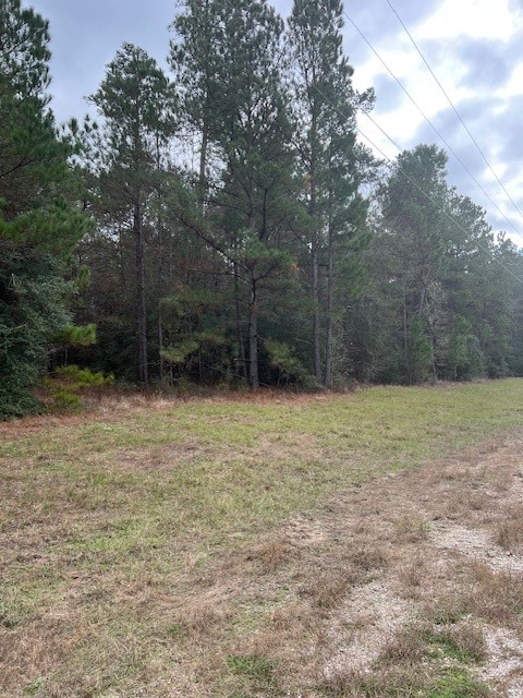 1-6-40 Sundog Road Huntsville, TX 77340 - Photo 3 of 8 a view of a backyard