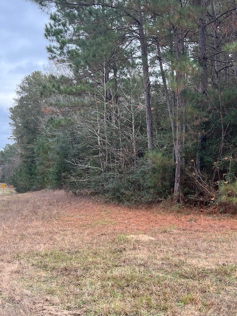 1-6-40 Sundog Road Huntsville, TX 77340 - Photo 4 of 8 a view of a forest with trees in the background
