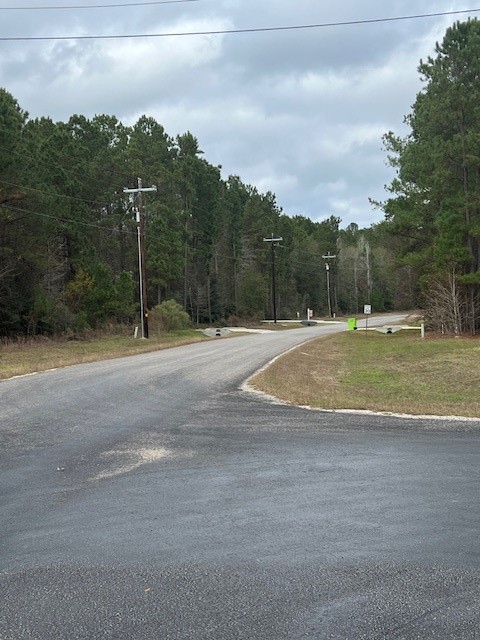 1-6-40 Sundog Road Huntsville, TX 77340 - Photo 5 of 8 a view of a basketball court
