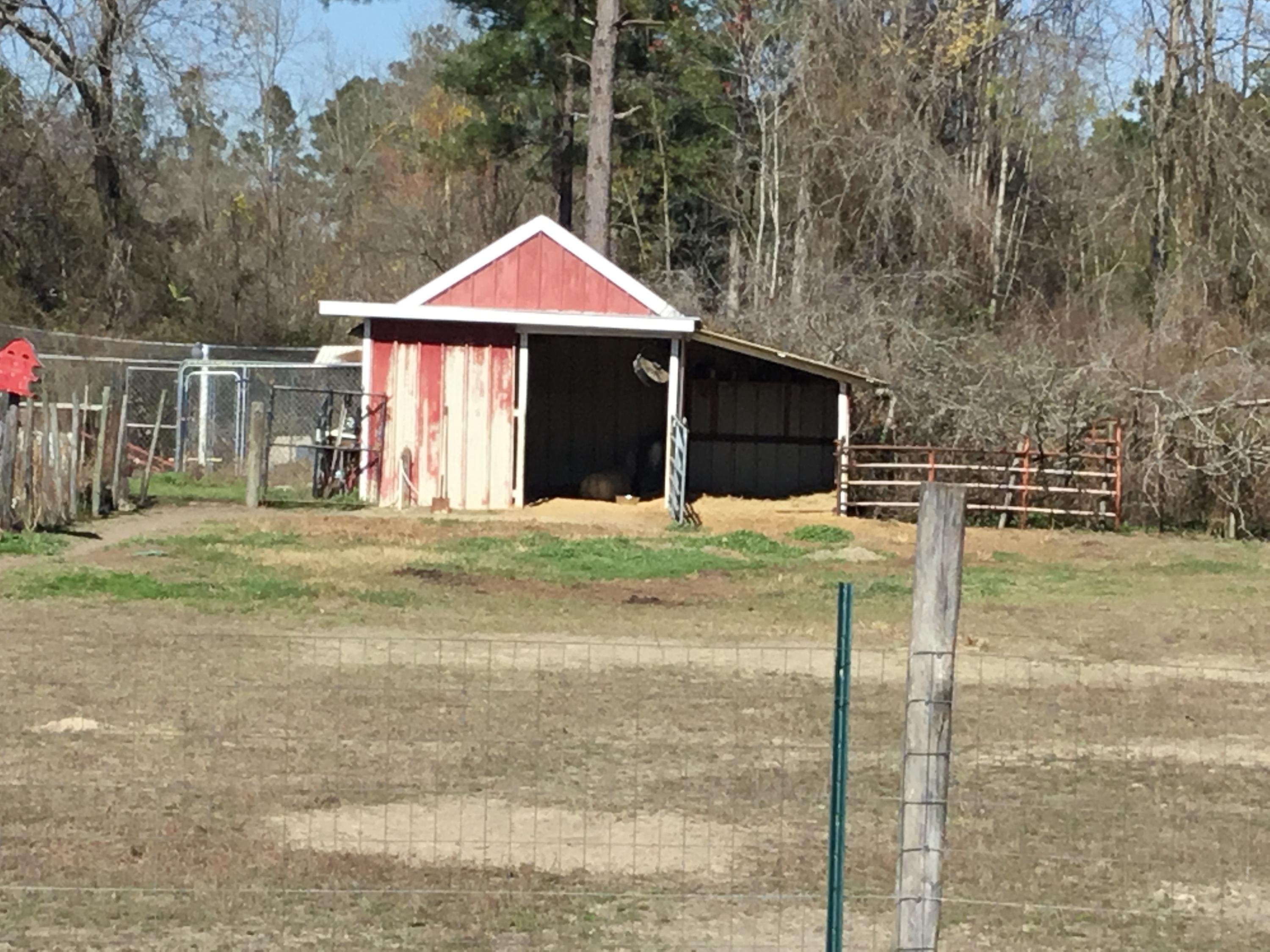 972 Bethel Road Ruffin, SC 29475 - Photo 28 of 35 IMG_0143