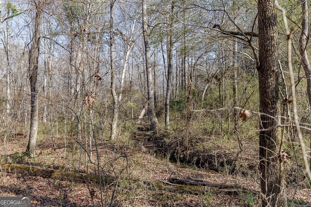 2644 Nunnally Shoals Road Good Hope, GA 30641 - Photo 12 of 18 a view of a forest with a tree