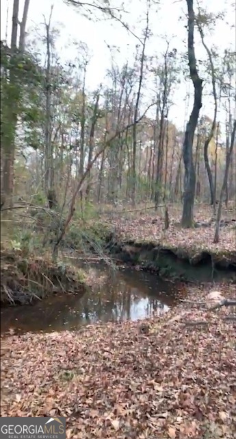 2644 Nunnally Shoals Road Good Hope, GA 30641 - Photo 12 of 13