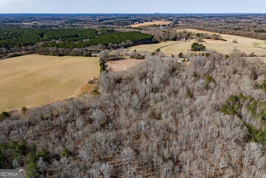 2644 Nunnally Shoals Road Good Hope, GA 30641 - Photo 14 of 18 a view of a lake with beach and city view