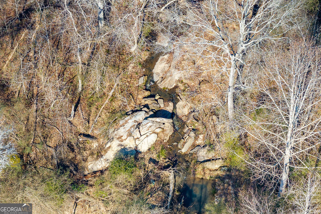 2644 Nunnally Shoals Road Good Hope, GA 30641 - Photo 15 of 18 a picture of tree