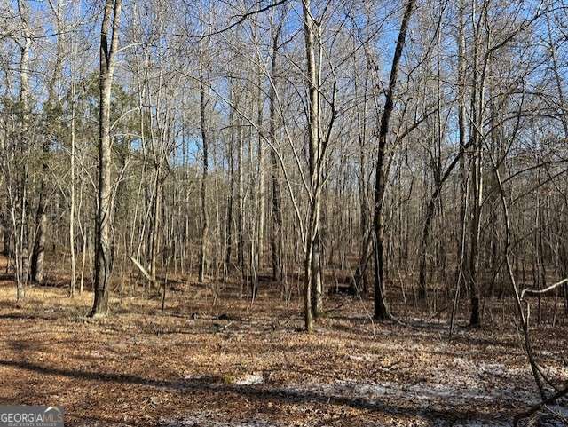 2644 Nunnally Shoals Road Good Hope, GA 30641 - Photo 4 of 13