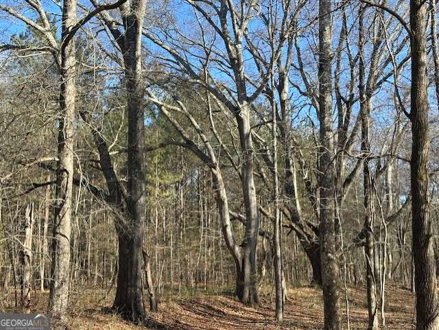 2644 Nunnally Shoals Road Good Hope, GA 30641 - Photo 5 of 13