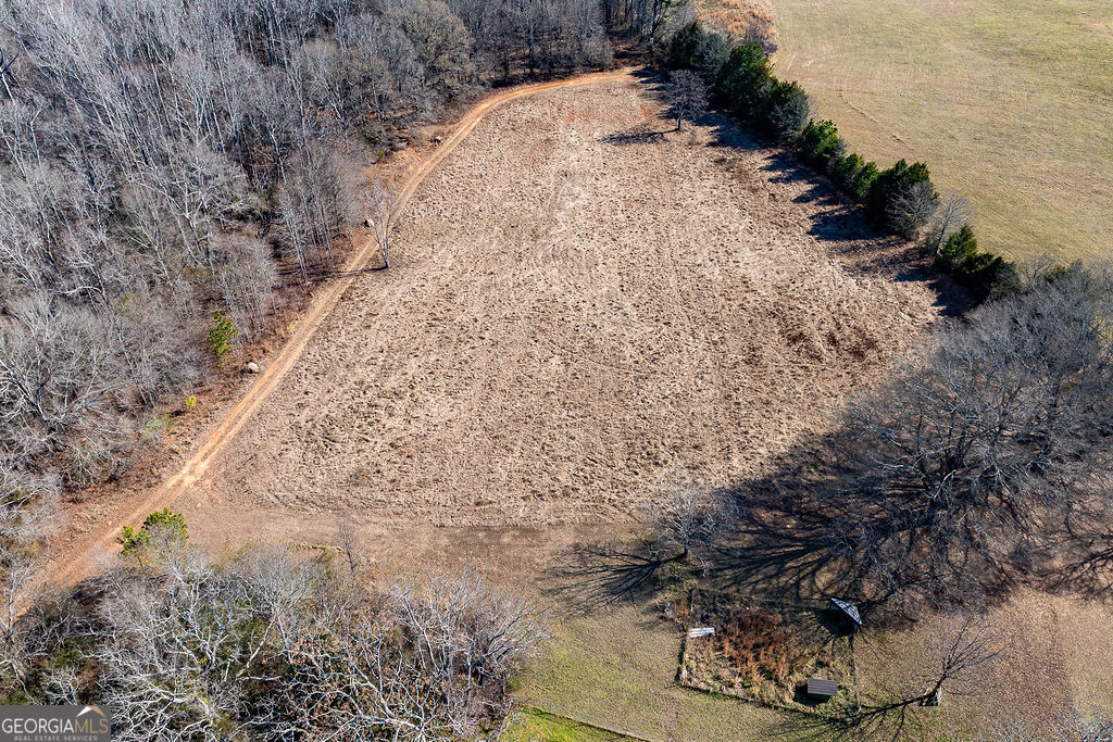 2644 Nunnally Shoals Road Good Hope, GA 30641 - Photo 6 of 18 a view of a yard with wooden floor