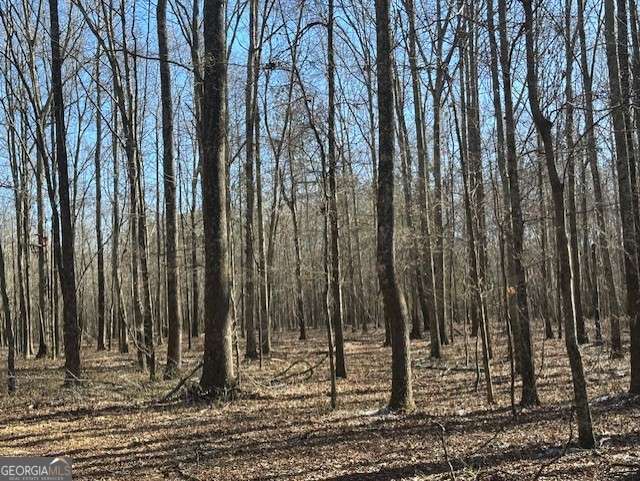 2644 Nunnally Shoals Road Good Hope, GA 30641 - Photo 6 of 13