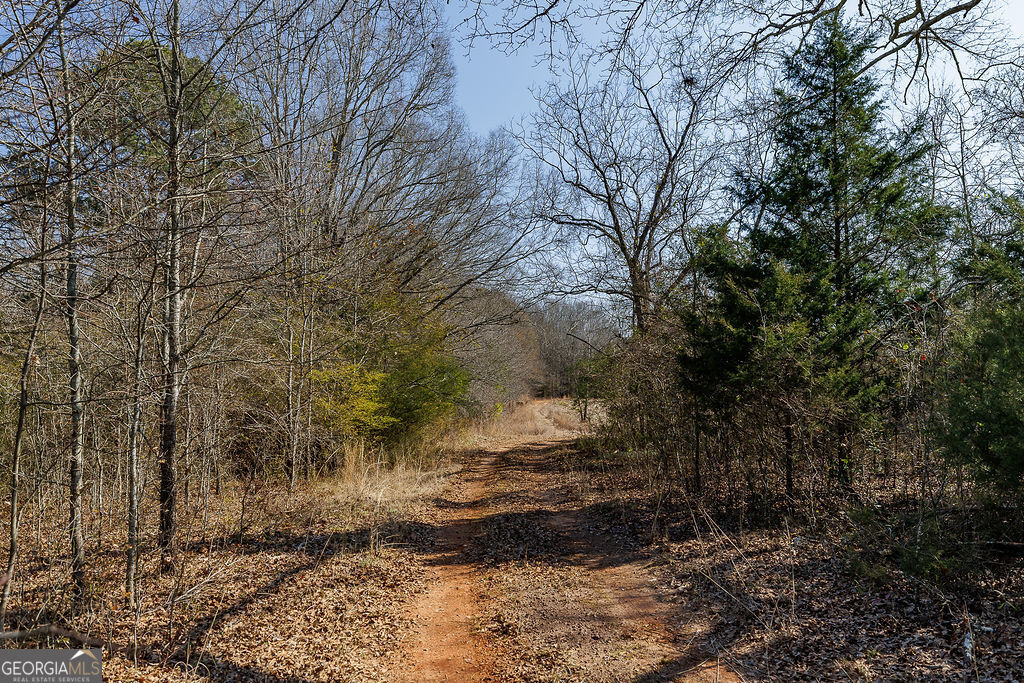 2644 Nunnally Shoals Road Good Hope, GA 30641 - Photo 7 of 18 a view of a yard with trees