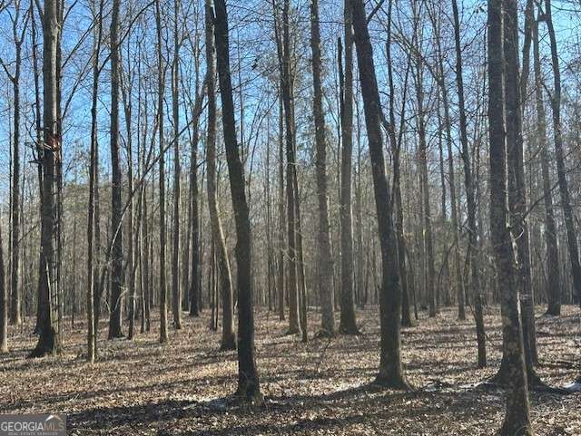 2644 Nunnally Shoals Road Good Hope, GA 30641 - Photo 7 of 13