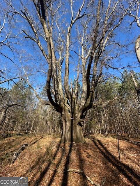 2644 Nunnally Shoals Road Good Hope, GA 30641 - Photo 8 of 13