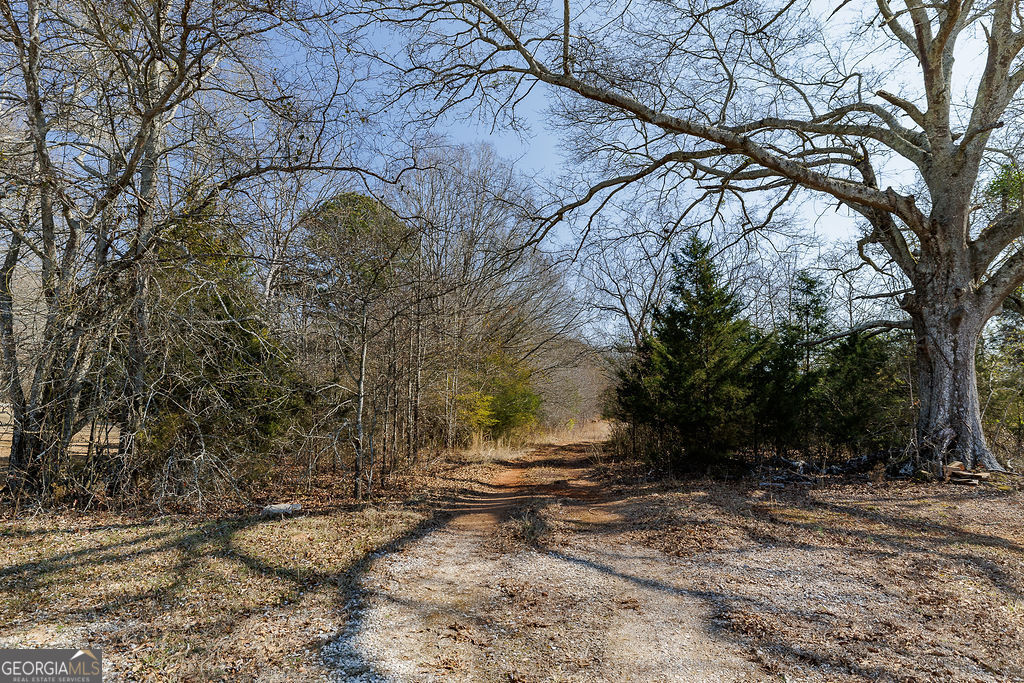 2644 Nunnally Shoals Road Good Hope, GA 30641 - Photo 8 of 18 a backyard of a house with lots of green space