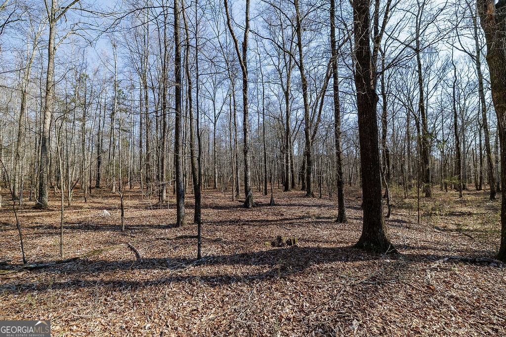 2644 Nunnally Shoals Road Good Hope, GA 30641 - Photo 9 of 18 a view of a backyard with trees