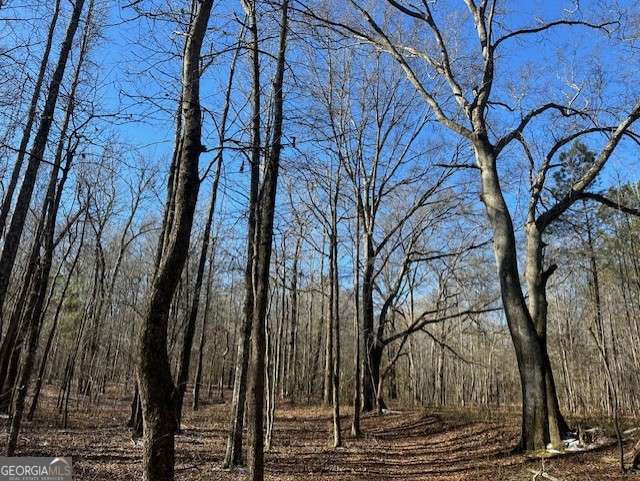 2644 Nunnally Shoals Road Good Hope, GA 30641 - Photo 9 of 13