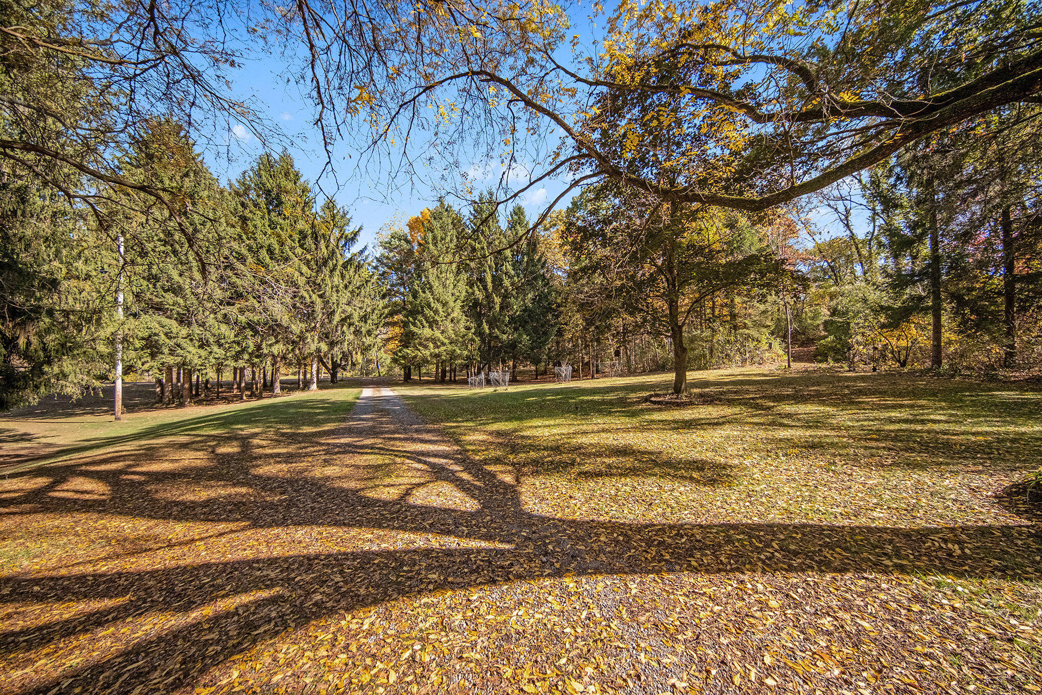 1460 Munith Road Jackson, MI 49201 - Photo 16 of 42 016_sbp_75_242