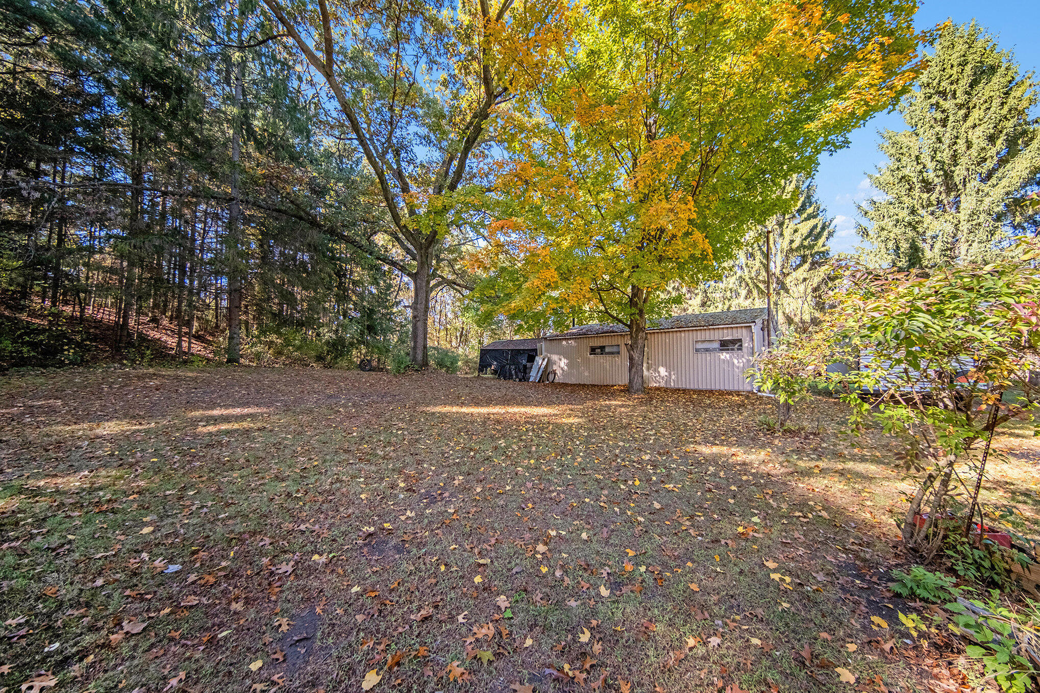 1460 Munith Road Jackson, MI 49201 - Photo 17 of 42 017_sbp_77_574