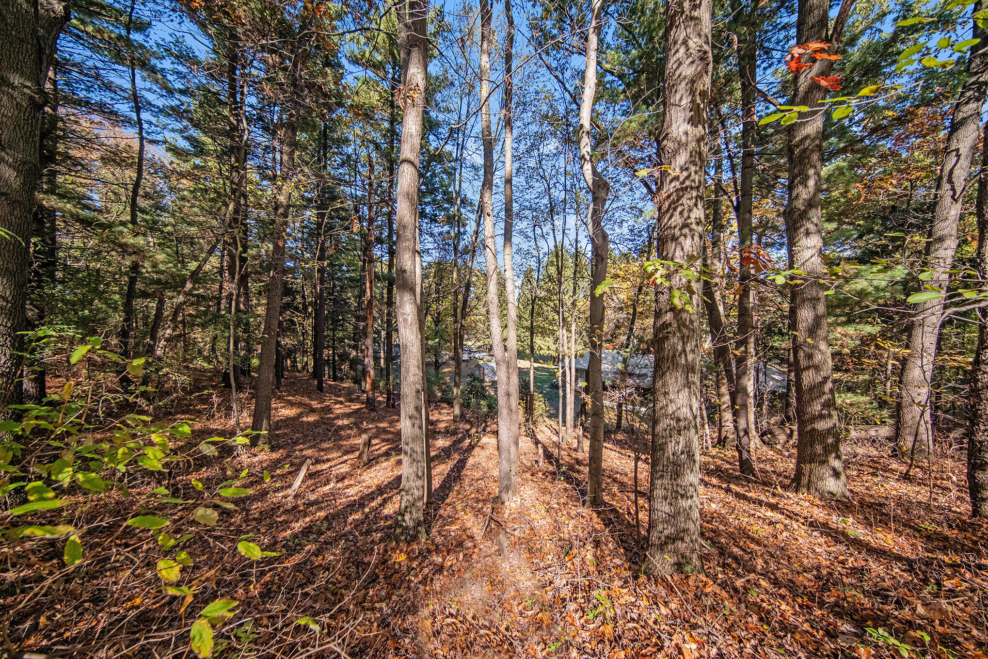 1460 Munith Road Jackson, MI 49201 - Photo 20 of 42 020_sbp_80_313